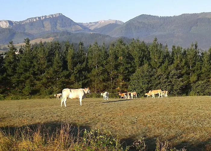 Hotel Torre Zumeltzegi Oñate