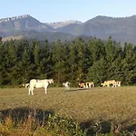 מלון Torre Zumeltzegi Oñate