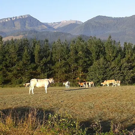 Hotel Torre Zumeltzegi Oñate